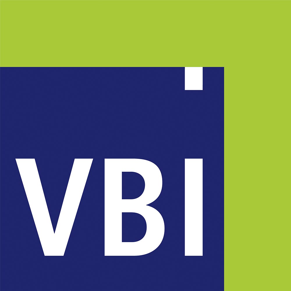 Logo VBI